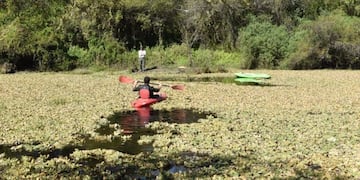 El Parque Nacional El Impenetrable alberga una gran cantidad de flora y fauna autóctona, muchas de ellas en peligro de extinción\u002E