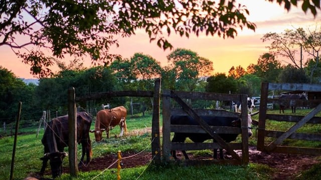 Conforman en Alvear la primera Comisión Zonal de Certificación Participativa
