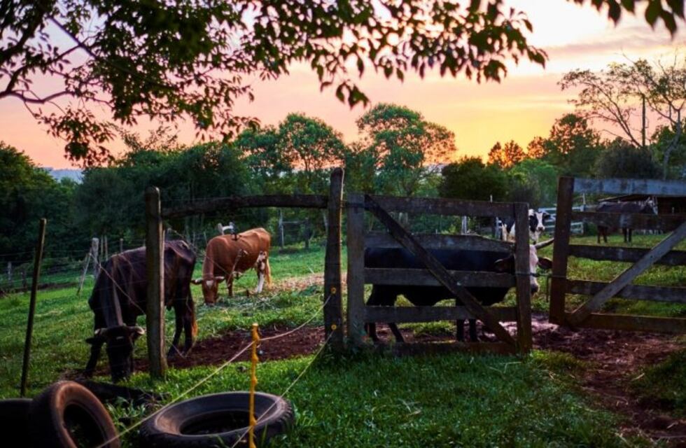 Conforman en Alvear la primera Comisión Zonal de Certificación Participativa