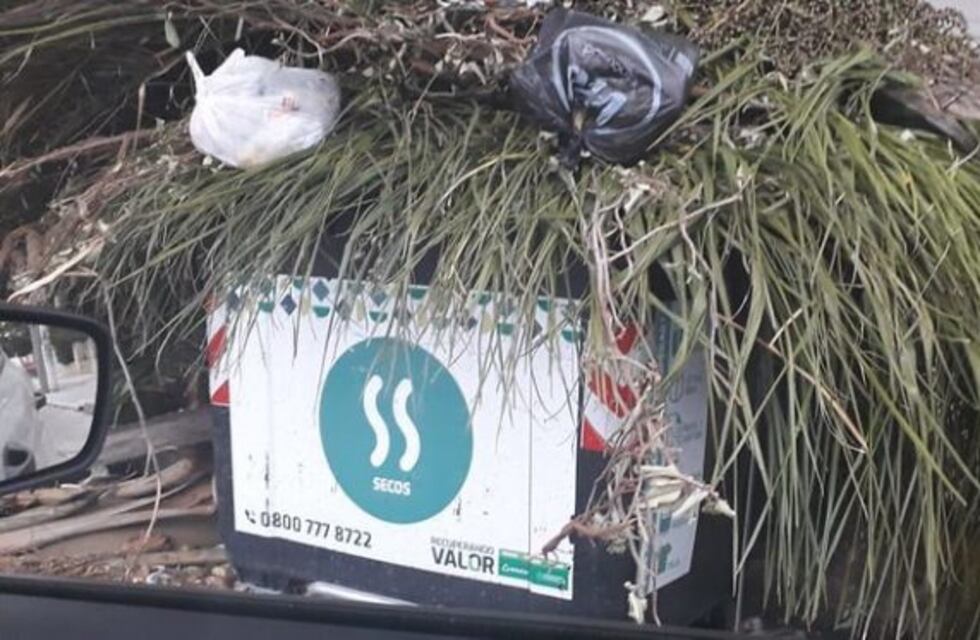 Aplicarán multas por el mal uso de los contenedores de basura