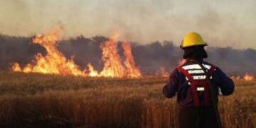 El segundo incendio ocurriu00f3 en La Remonta (Tunuyu00e1n) y, si bien fue de menor tamau00f1o, quemu00f3 unas 800 hectu00e1reas de terreno
