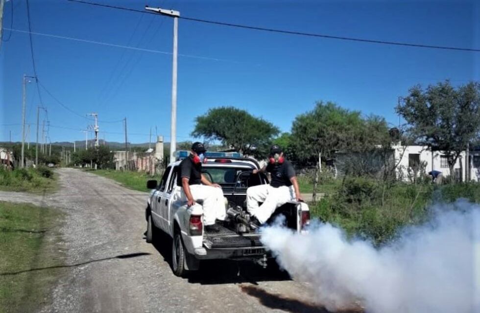 Mosquitos y alacranes: recomiendan cortar yuyos y no acumular agua