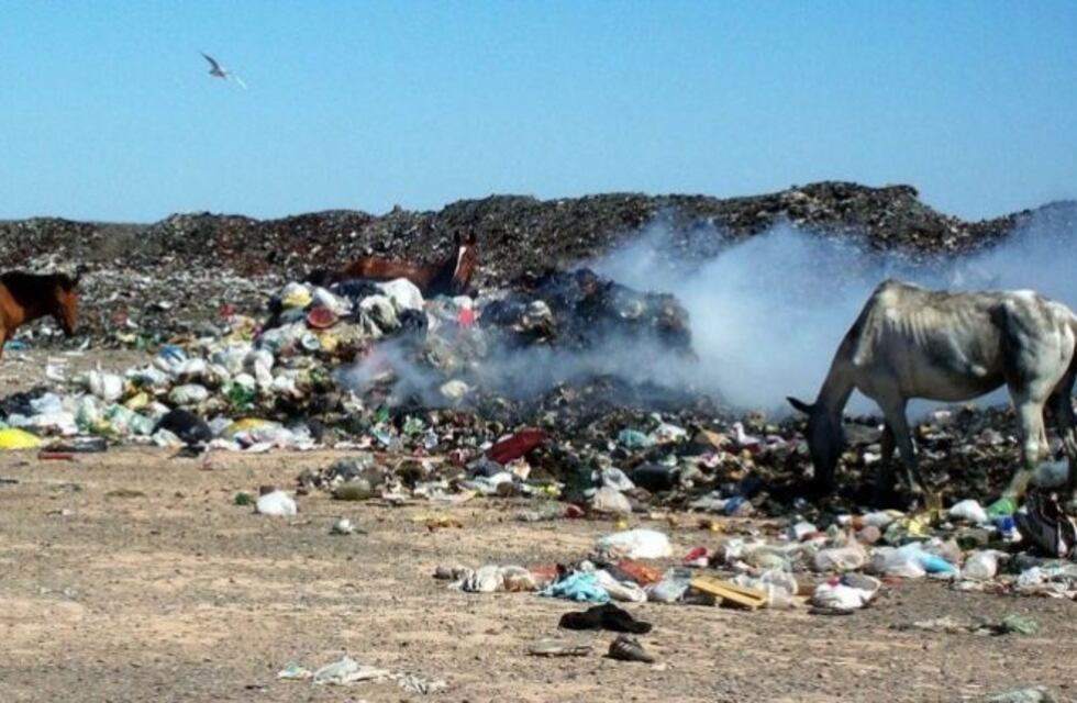 Le robaron la jubilación a un anciano y lo mandaron al hospital