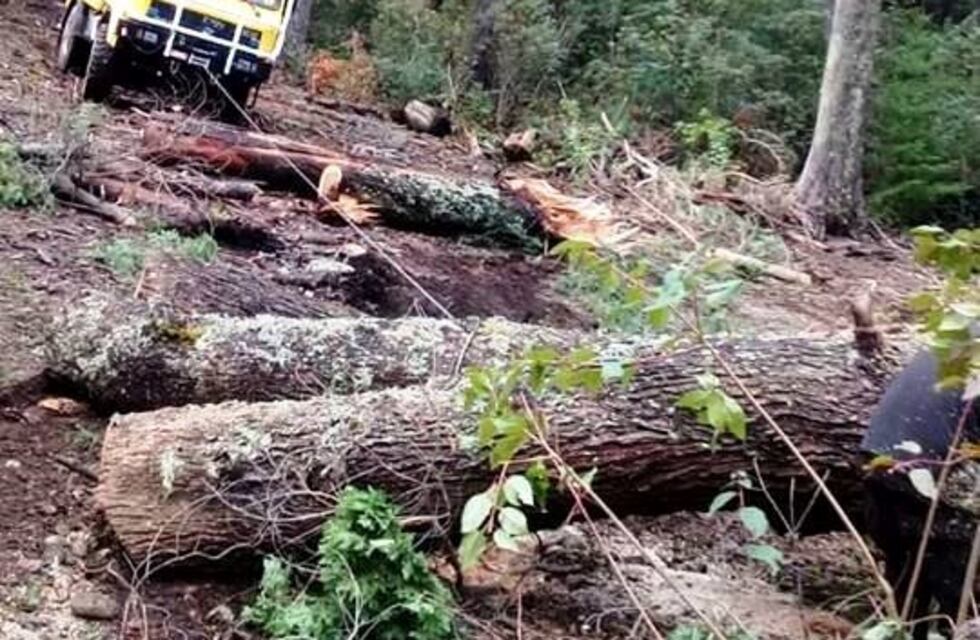 Servicio Provincial de Manejo del Fuego con actividades de prevención