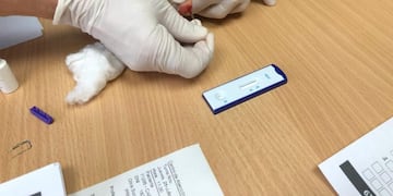 Campaña de detección de Hepatitis