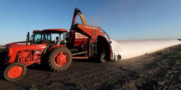 FILE PHOTO: A truck unloads soy grains in a silo bag on a farmland in Chivilcoy, on the outskirts of Buenos Aires, Argentina April 8, 2020\u002E Picture taken April 8, 2020\u002E REUTERS/Agustin Marcarian/File Photo   soja silo bolsa  silobolsa