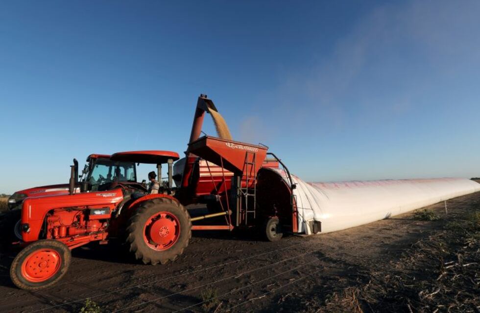 ¿Los impuestos deben financiar servicios específicos?