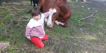 La yegua robada a Fada se llama Delfina y pertenece a la familia Llorens\u002E