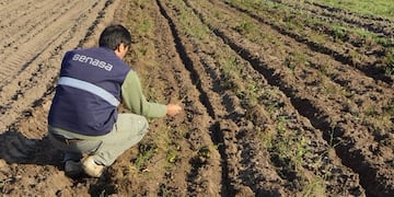 SENASA inspeccionó campos entrerrianos\u002E