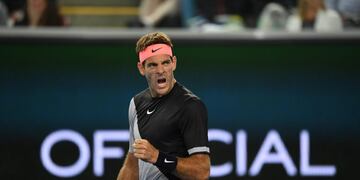 Juan Martín Del Potro avanzó a segunda ronda del Australian Open\u002E EFE/DEAN LEWINS