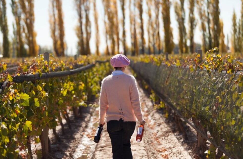 Mendoza gourmet: una aventura por los caminos del vino