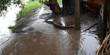 El agua afectó varios establecimientos educativos en al ciudad\u002E (Flash 24)