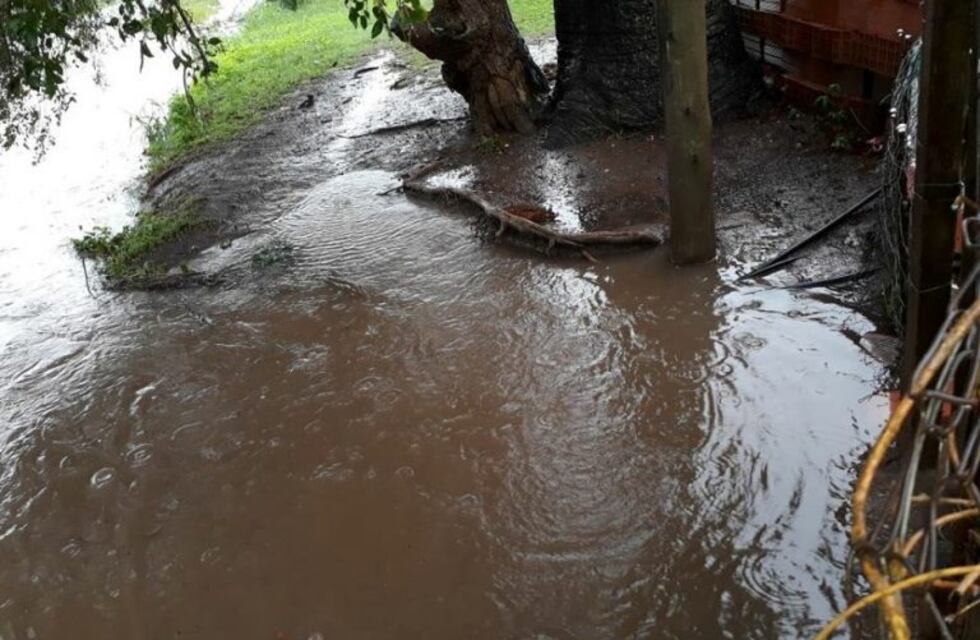 Al menos cinco escuelas permanecerán cerradas por las intensas lluvias