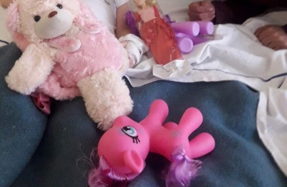 Entrega de juguetes a niños internados en Ushuaia