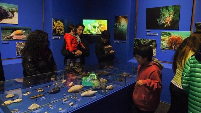 Nueva sala del Museo del Fin del Mundo. Ushuaia