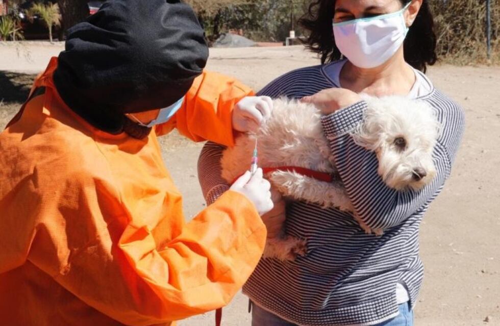 Convocan a Veterinario para Zoonosis de Tolhuin