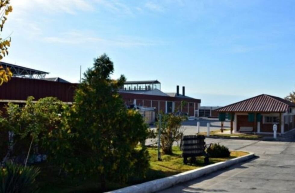 Una bodega denunció un robo millonario pero la policía sospecha