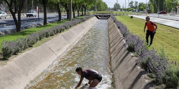 Rescate perro canal del paseo Rawson en San Rafael