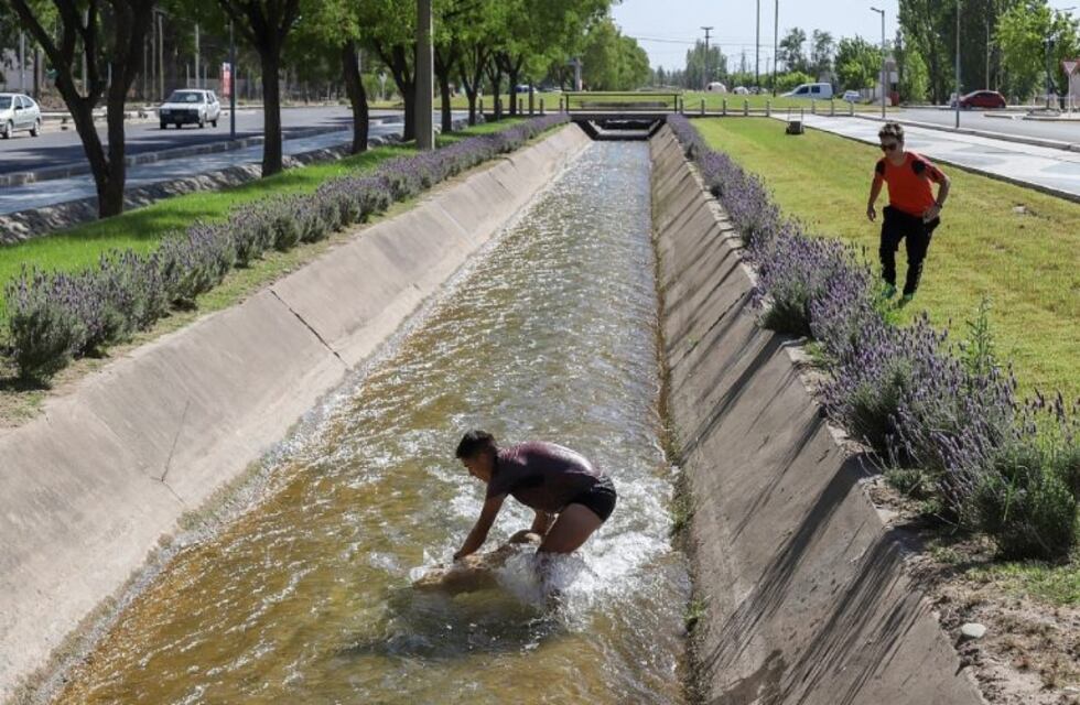 Deportistas salvaron de morir ahogado a un perro que cayó al canal del paseo Rawson