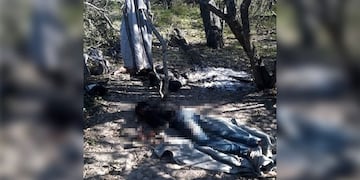 Dos cuerpos sin vida, fueron encontrados monte adentro\u002E