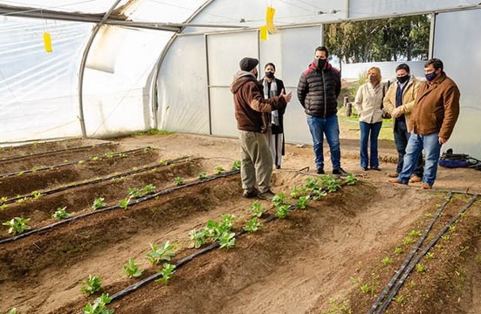 Con la puesta en marcha del ProHuerta crearán centro de producción de viveros en Rawson