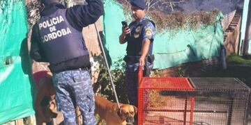 Animales secuestrados en Alta Gracia