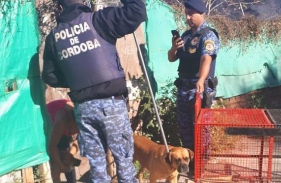 Alta Gracia: dos perros secuestrados por morder a una mujer