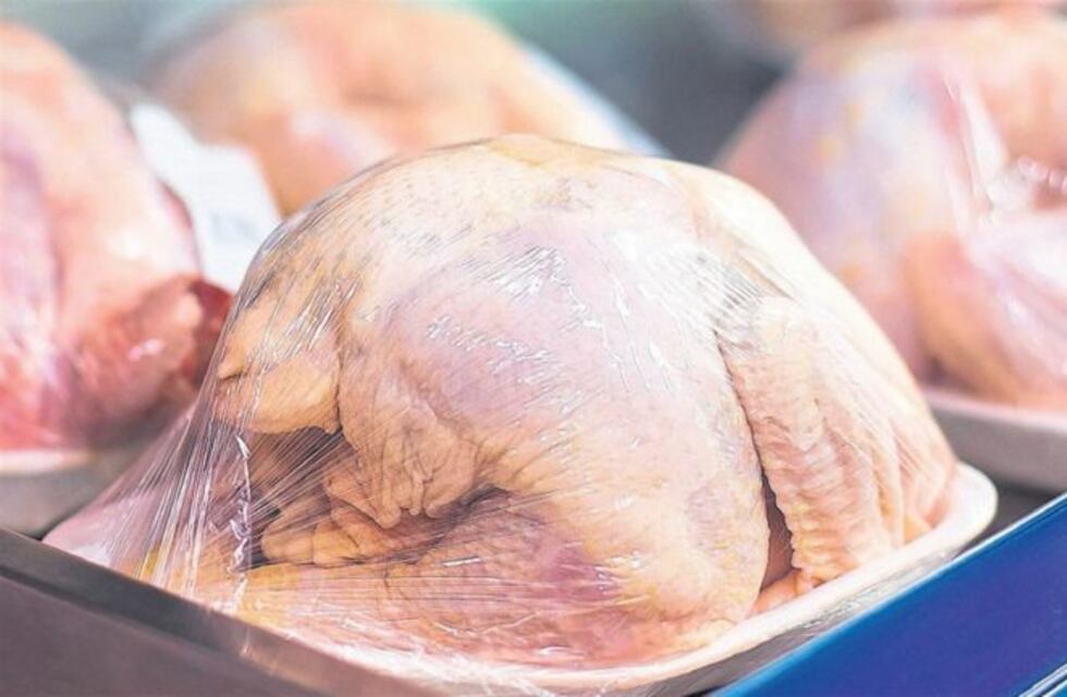 Se robaron todo: no dejaron ni los pollos congelados en el freezer