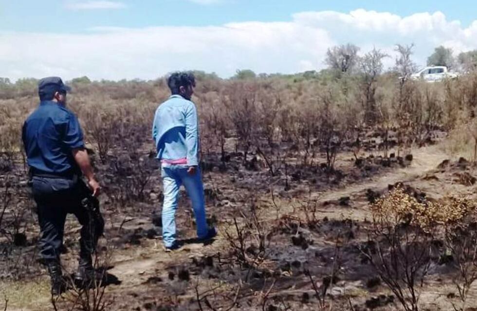 Detuvieron a un hombre que inició un incendio en un campo en San Luis