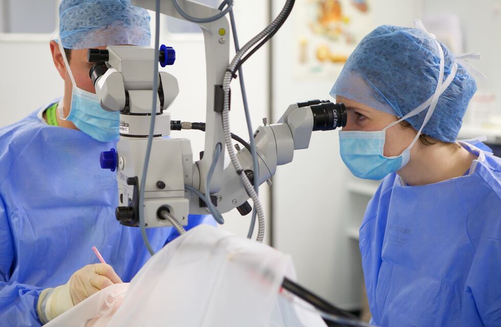 Extendieron el programa de cirugías de cataratas gratis a General Alvear