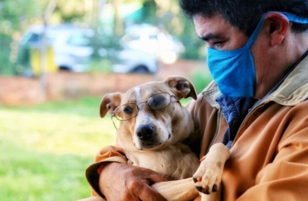 Reabrió el centro de Veterinaria y Zoonosis de Eldorado