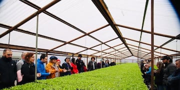 Huertas Urbanas en Río Grande