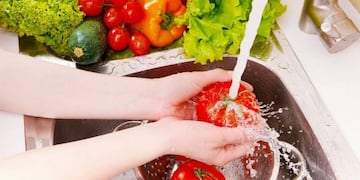 Manipulación de Alimentos