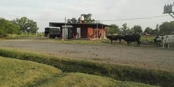 Quedó firme la sentencia de desalojo del tambo \