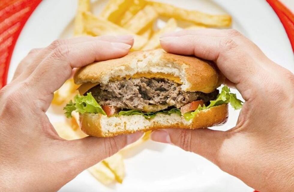 Rosarinos lanzan la primera  hamburguesa vegetariana con sabor a carne