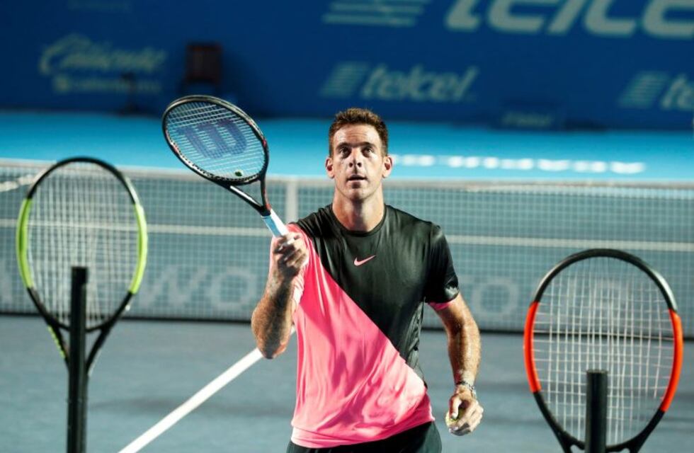 Del Potro, sobre la Copa Davis: "Ganarla era un sueño que tenía, pero ya lo realicé"