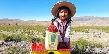 Alumnos de San Carlos presentaron sus trabajos por las redes, conmoviendo al país (Radio Cafayate)