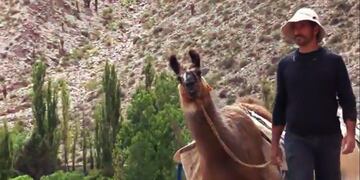 Turismo Activo - Santos Manfredi - Caravana de llamas, Tilcara (Jujuy)