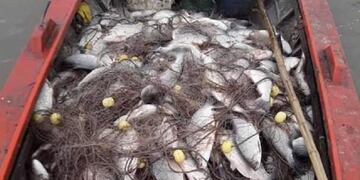 Afirman que la bajante del Paraná perjudica a las especies de peces no comerciales\u002E (Facebook)