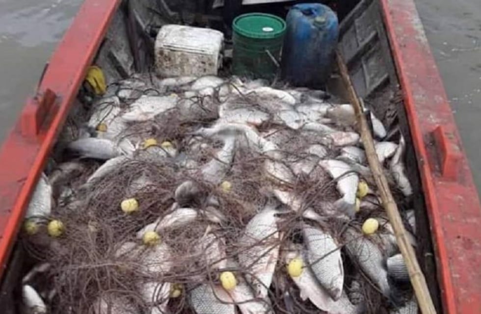 Advierten que las especies perjudicadas en el Paraná no son las comerciales
