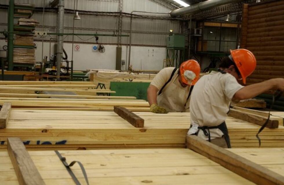 Forestales piden abaratar la logística para ganar competitividad