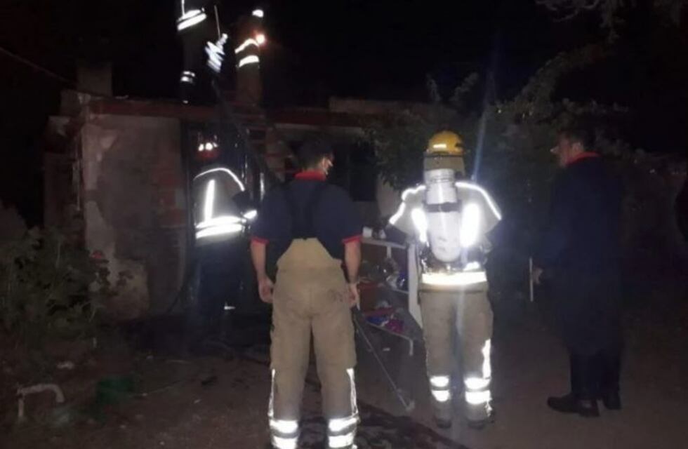 Un bombero rescató a un gato de un incendio, le dio oxígeno y lo reanimó