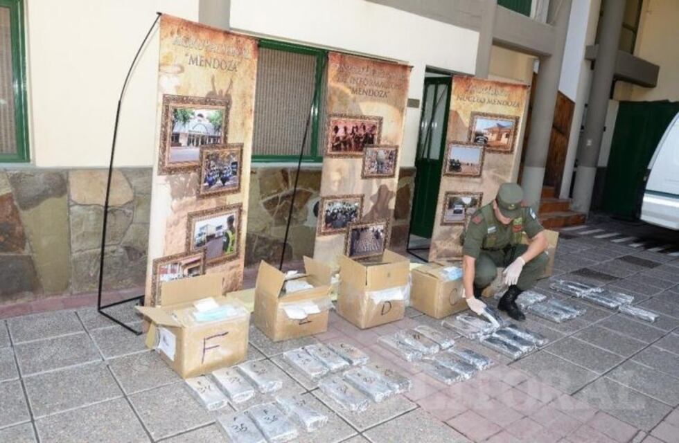 Incautan 41 kilos de marihuana en la terminal de Mendoza