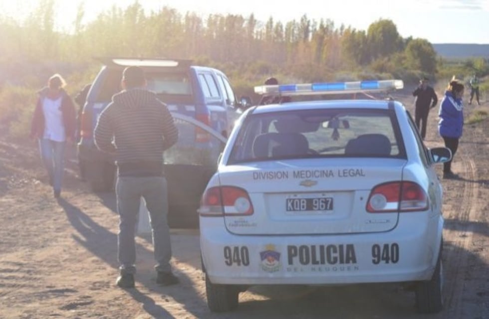 Rincón de los Sauces: declararon la Emergencia en Seguridad