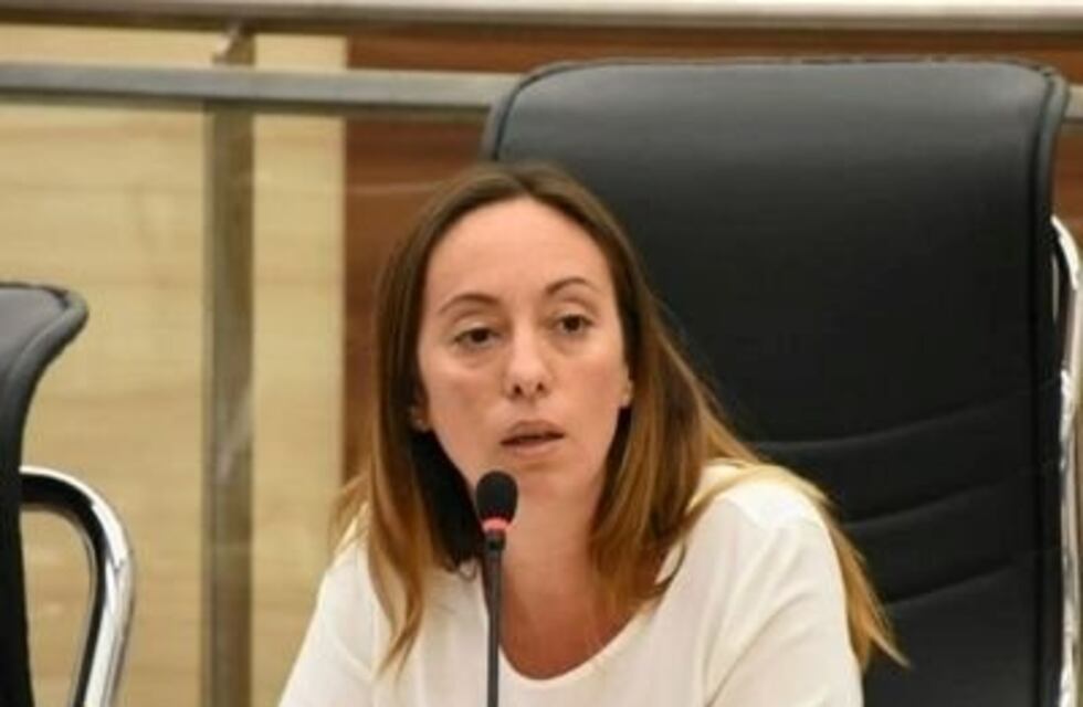 Ghilotti descartó que Nación vaya a recortar subsidios al transporte