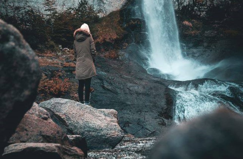 Colocan trampas para el visón, que amenaza especies en peligro de extinción en Santa Cruz