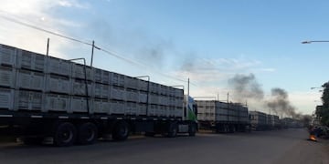 Pato de transportes de cargas de Limón en Tucumán (Vía Tucumán)
