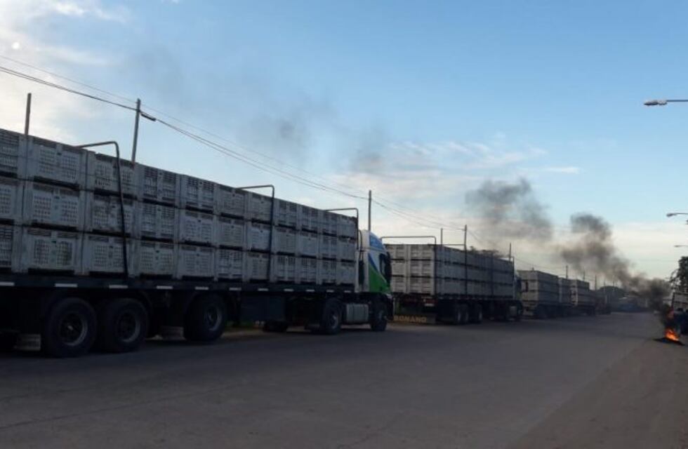 Los transportistas de carga de limón paran por tiempo indeterminado