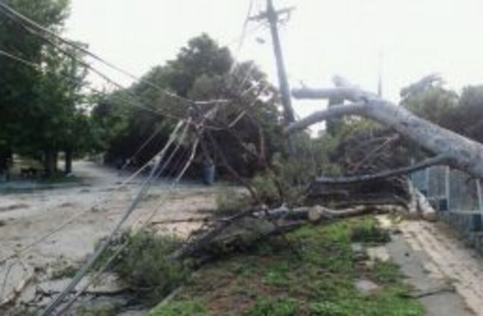 Familias evacuadas y cientos de árboles caídos por vendaval en Punilla