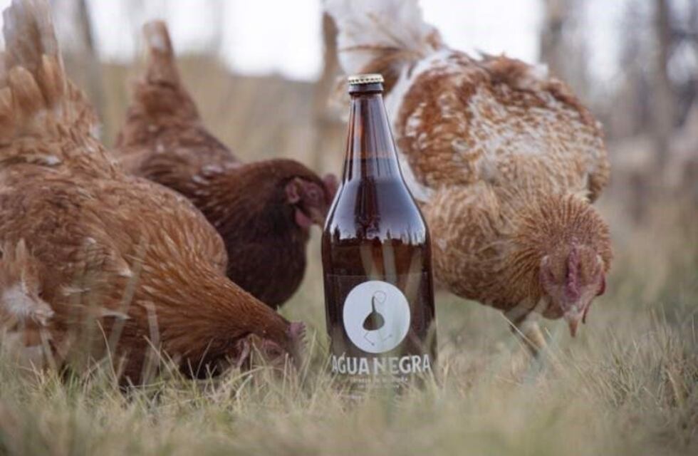 En San Juan fabrican la primera cerveza artesanal con agua de la cordillera
